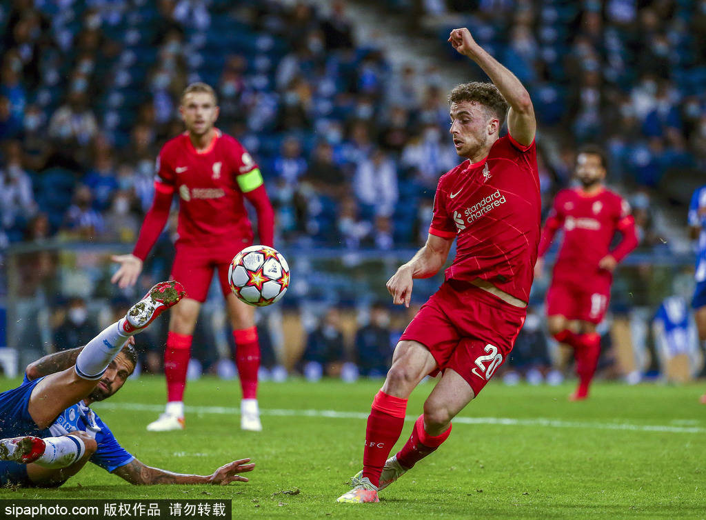 展示了多样 展示了多样