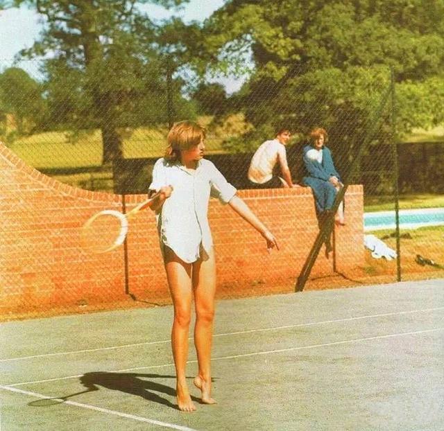 场球员的组 场球员的组